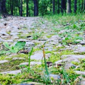 Meet your Posher, Ella